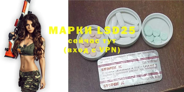 прущие крисы Тында